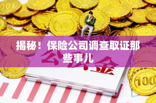 石狮揭秘！保险公司调查取证那些事儿