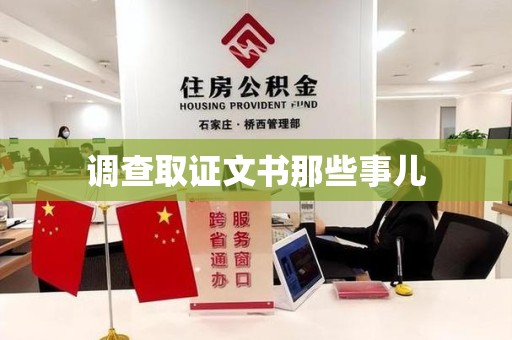 石狮调查取证文书那些事儿