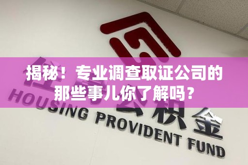 石狮揭秘！专业调查取证公司的那些事儿你了解吗？