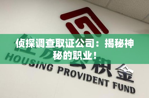 石狮侦探调查取证公司：揭秘神秘的职业！