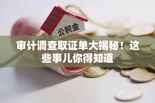 石狮审计调查取证单大揭秘！这些事儿你得知道