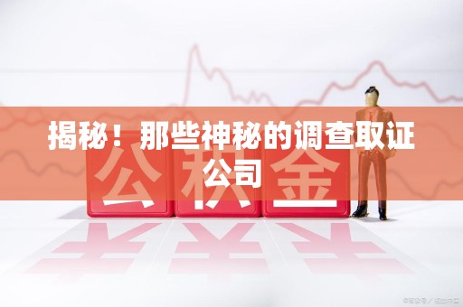 石狮揭秘！那些神秘的调查取证公司