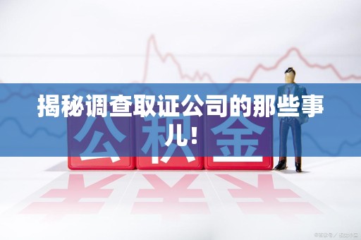 石狮揭秘调查取证公司的那些事儿！