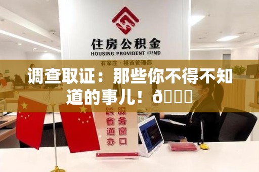 石狮调查取证：那些你不得不知道的事儿！😎