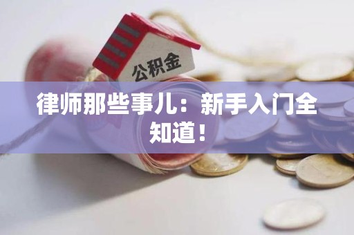 石狮律师那些事儿：新手入门全知道！