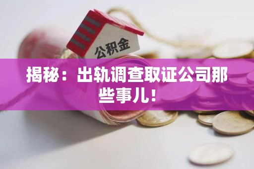 石狮揭秘：出轨调查取证公司那些事儿！