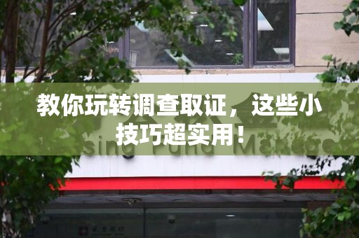 石狮教你玩转调查取证，这些小技巧超实用！
