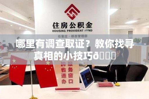 石狮哪里有调查取证？教你找寻真相的小技巧😎
