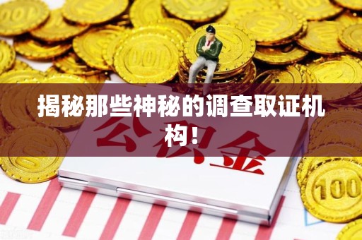 石狮揭秘那些神秘的调查取证机构！