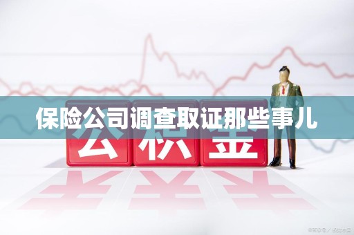 石狮保险公司调查取证那些事儿