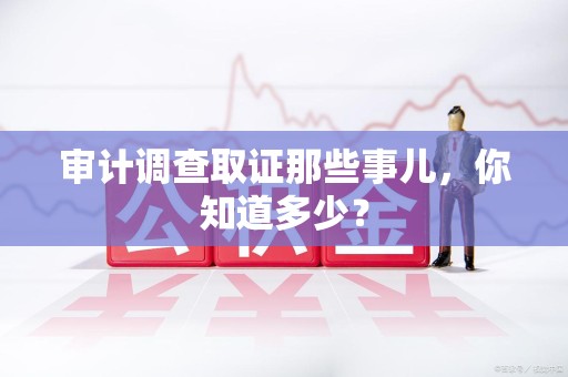 石狮审计调查取证那些事儿，你知道多少？