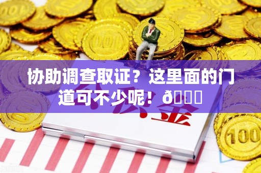 石狮协助调查取证？这里面的门道可不少呢！😎