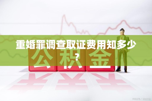 石狮重婚罪调查取证费用知多少？
