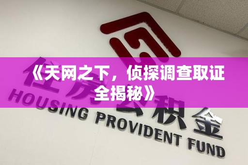 石狮《天网之下，侦探调查取证全揭秘》