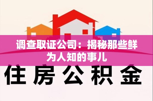 石狮调查取证公司：揭秘那些鲜为人知的事儿