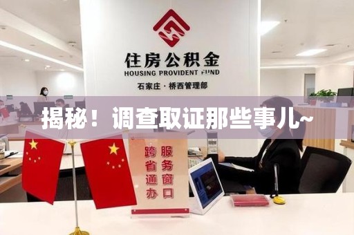 石狮揭秘！调查取证那些事儿~