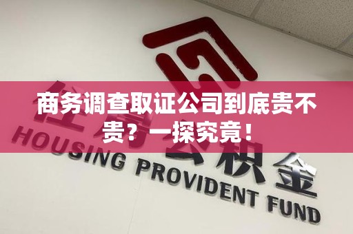 石狮商务调查取证公司到底贵不贵？一探究竟！