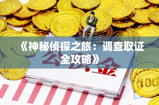 石狮《神秘侦探之旅：调查取证全攻略》