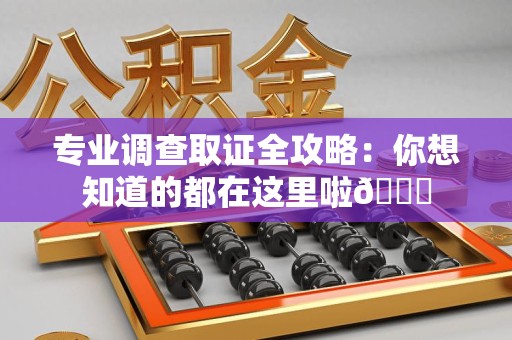 石狮专业调查取证全攻略：你想知道的都在这里啦😉
