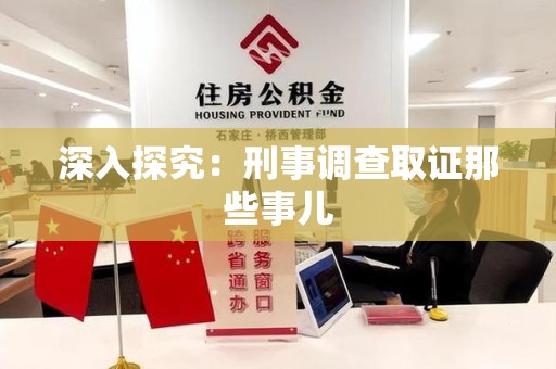石狮深入探究：刑事调查取证那些事儿