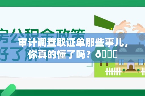 石狮审计调查取证单那些事儿，你真的懂了吗？😎