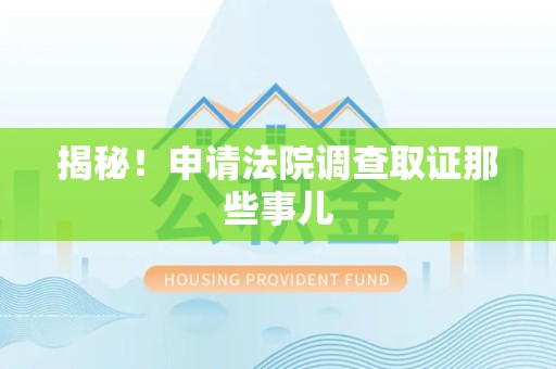 石狮揭秘！申请法院调查取证那些事儿