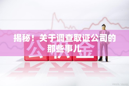 石狮揭秘！关于调查取证公司的那些事儿